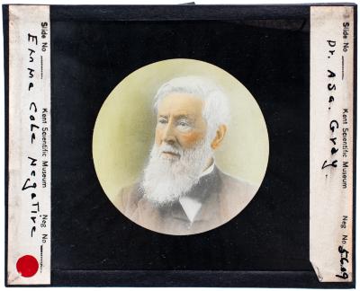 Lantern Slide, Dr. Asa Gray
