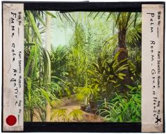 Lantern Slide, Palm Room