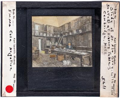 Lantern Slide, Dr. Asa Gray's Study