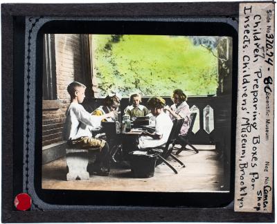 Lantern Slide, Preparing Boxes