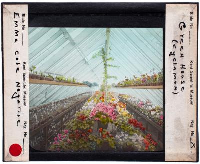 Lantern Slide, Greenhouse