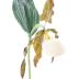 Yellow Lady's Slipper (model)