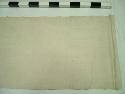 Cloth