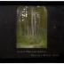 Lantern Slide, Hartwick Pines 