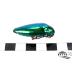 Jewel Beetle