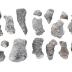 Cystiphylloides americanum bellense (?) (17 Specimens)