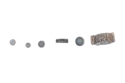 Crinoid Pieces (6 Specimens)
