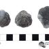 Shizophoria striatula traversensis (3 Specimens)
