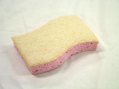Pink Sponge