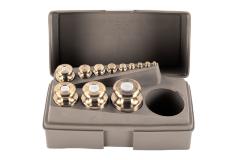 Calibration Weights