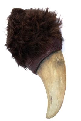 Giant Ground Sloth (reconstructed claw)