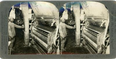 Stereoview, Cotton Gin