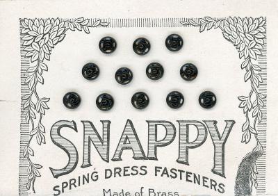 Snaps (12)