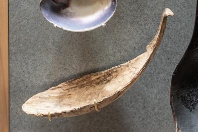 Spoon