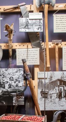 Timber Saw