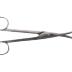 Dental Tools In Case