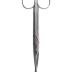 Dental Tools In Case