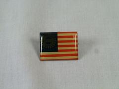 Lapel Pin, Uaw