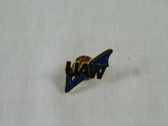 Lapel Pin, Uaw