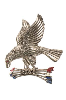 Lapel Pin