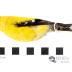 Gold Finch (skin)