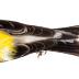 Gold Finch (skin)