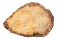 Discovery Kit: Early Hominin Stone Tools