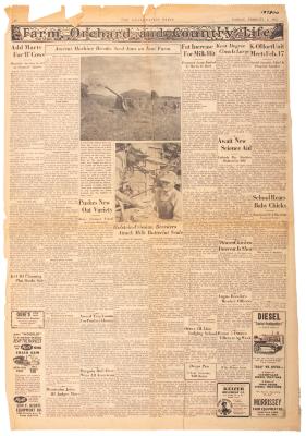 Newspaper Page