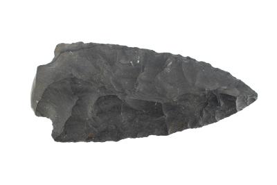 Projectile Point