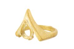 Ring Casting
