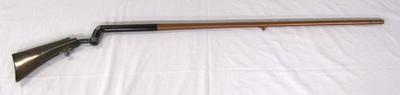 Cane Gun