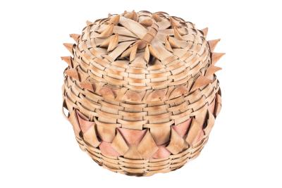 Basket (Gokpenagen)