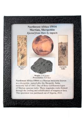 Northwest Africa 15016 Meteorite