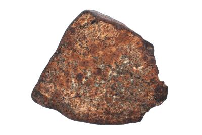 Northwest Africa XXX Meteorite