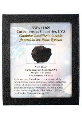 Northwest Africa 11265 Meteorite