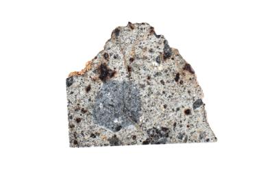 Northwest Africa 8362 Meteorite