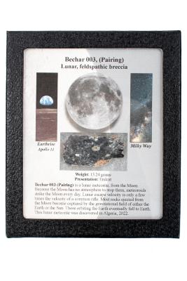 Bechar 003 Meteorite