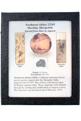 Northwest Africa 12269 Meteorite