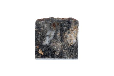 Northwest Africa 8336 Meteorite