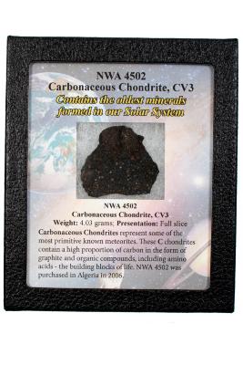Northwest Africa 4502 Meteorite