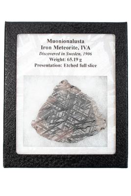 Muonionalusta Meteorite 