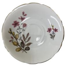 Saucer