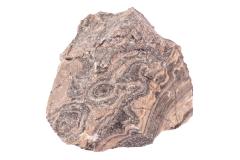 Stromatolite