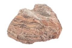 Stromatolite