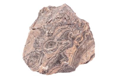 Stromatolite