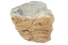 Stromatolite