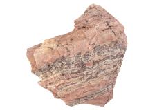 Stromatolite