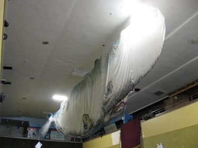 Printmaker's Whale, The Freshwater Zars Whale"