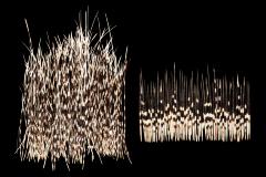 African Porcupine (quills)