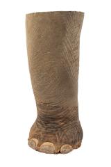 African Savanna Elephant (mount) 
